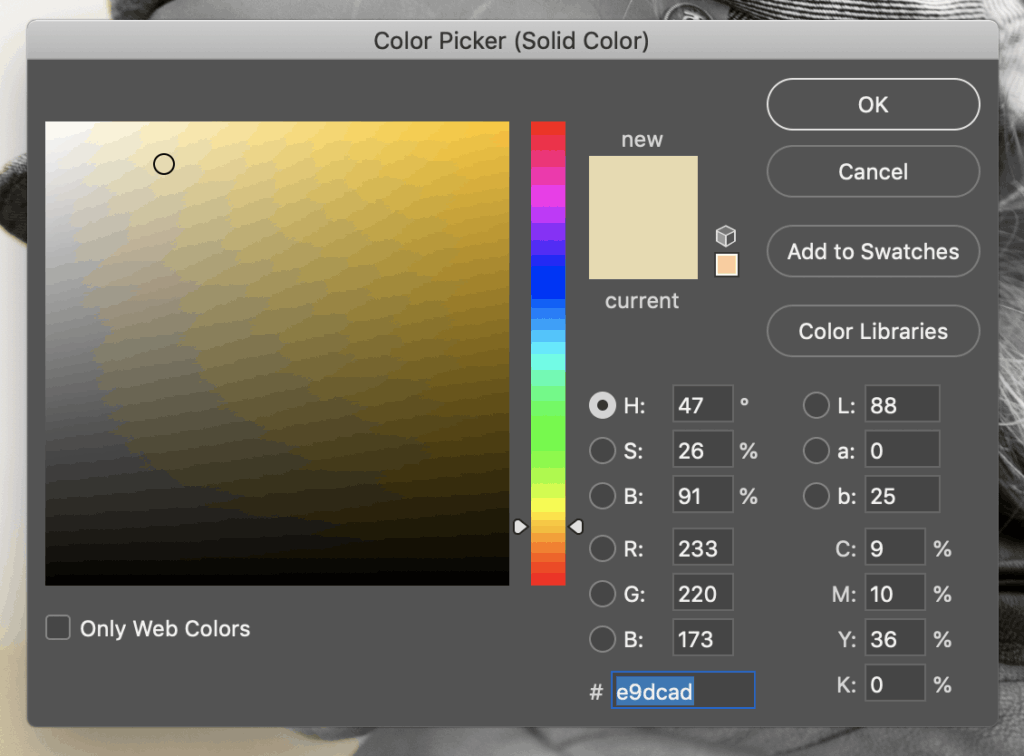 A Complete Guide on How to Colorize Black and White Photos in Photoshop