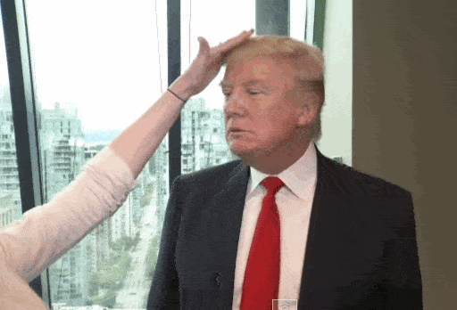 trump-hair