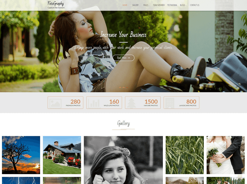 fotography-theme