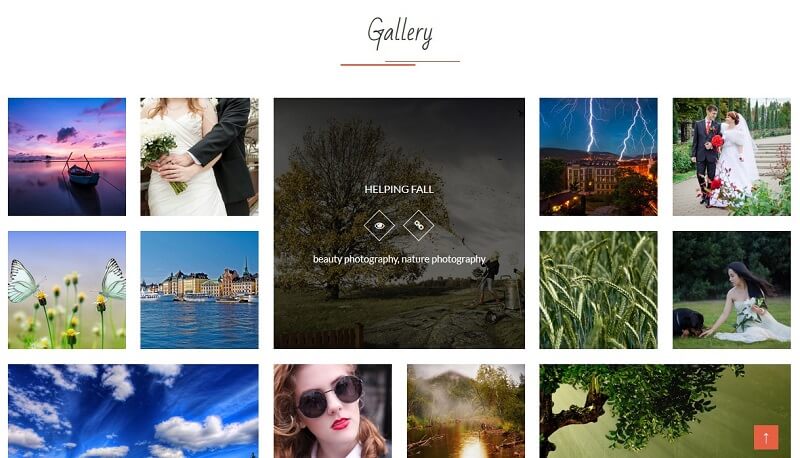 gallery-section
