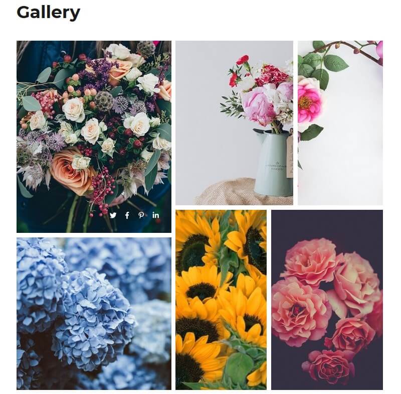 photo-gallery-example