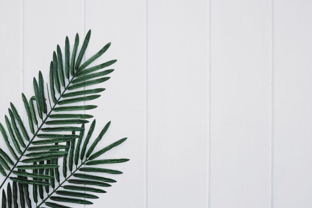 minimalist photography