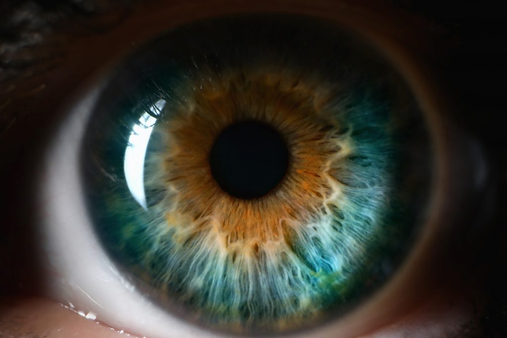 macro photography