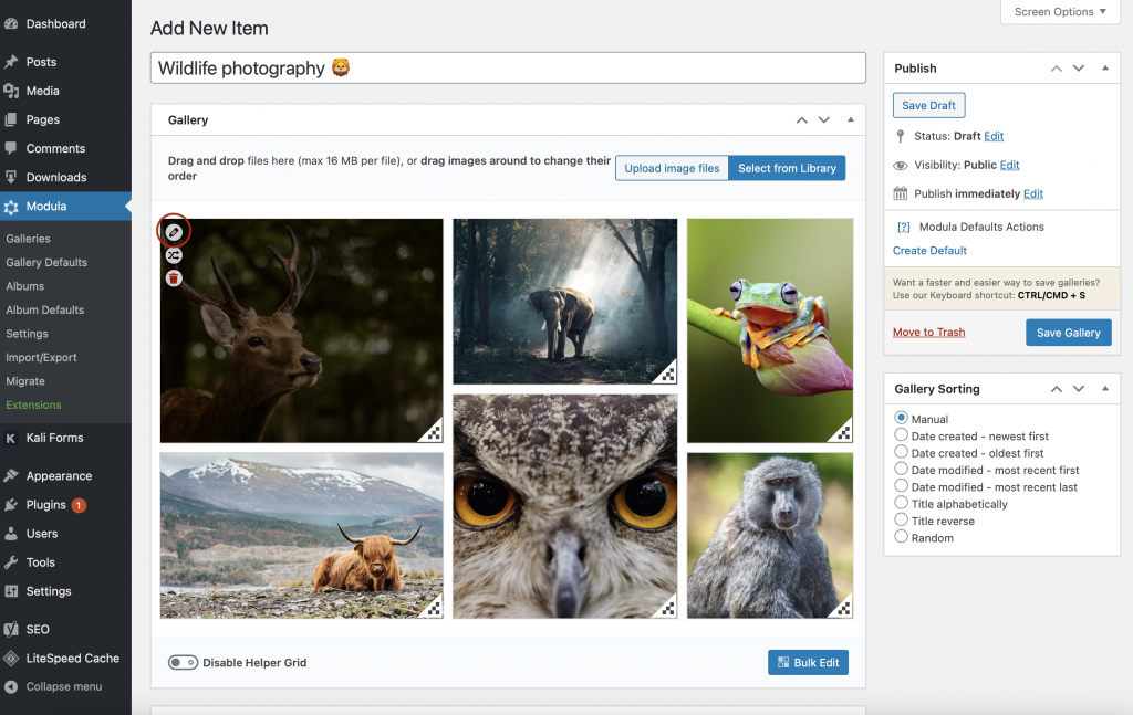 WordPress multimedia gallery