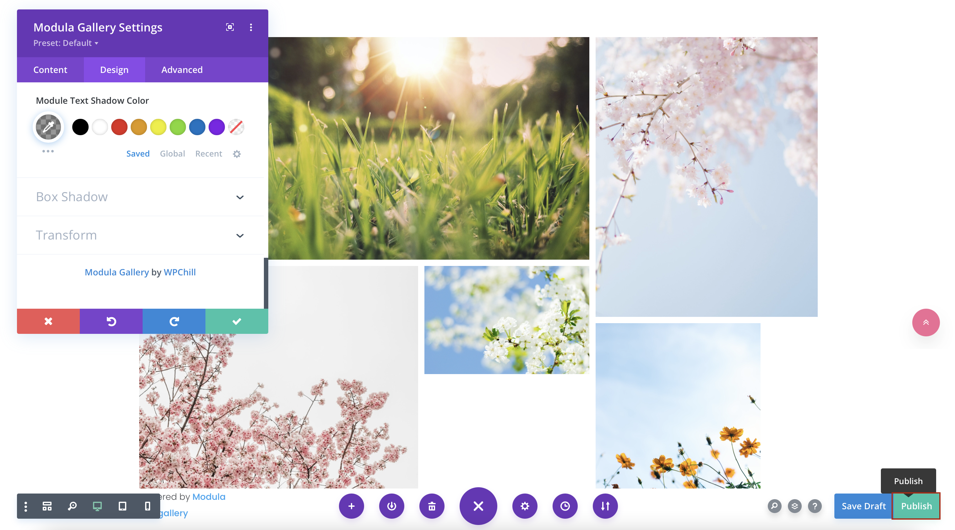 Divi photo gallery