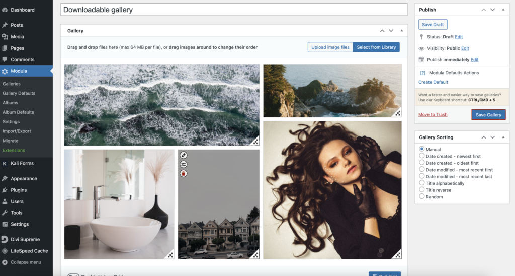 downloadable gallery for WordPress