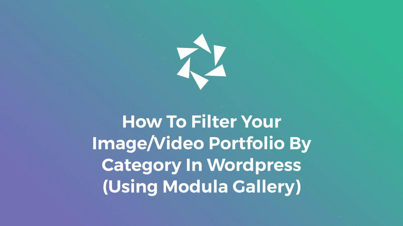 How To Filter Your Image/Video Portfolio By Category In WordPress