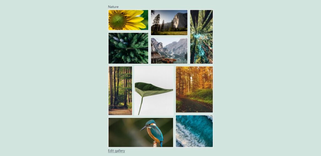 Nature gallery example