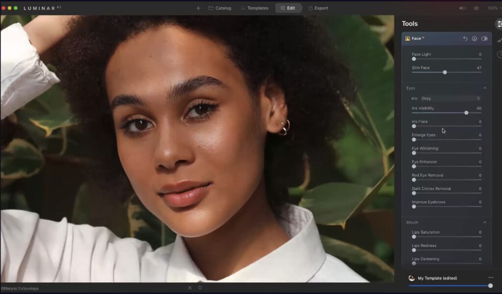 Luminar AI interface with available editing tools