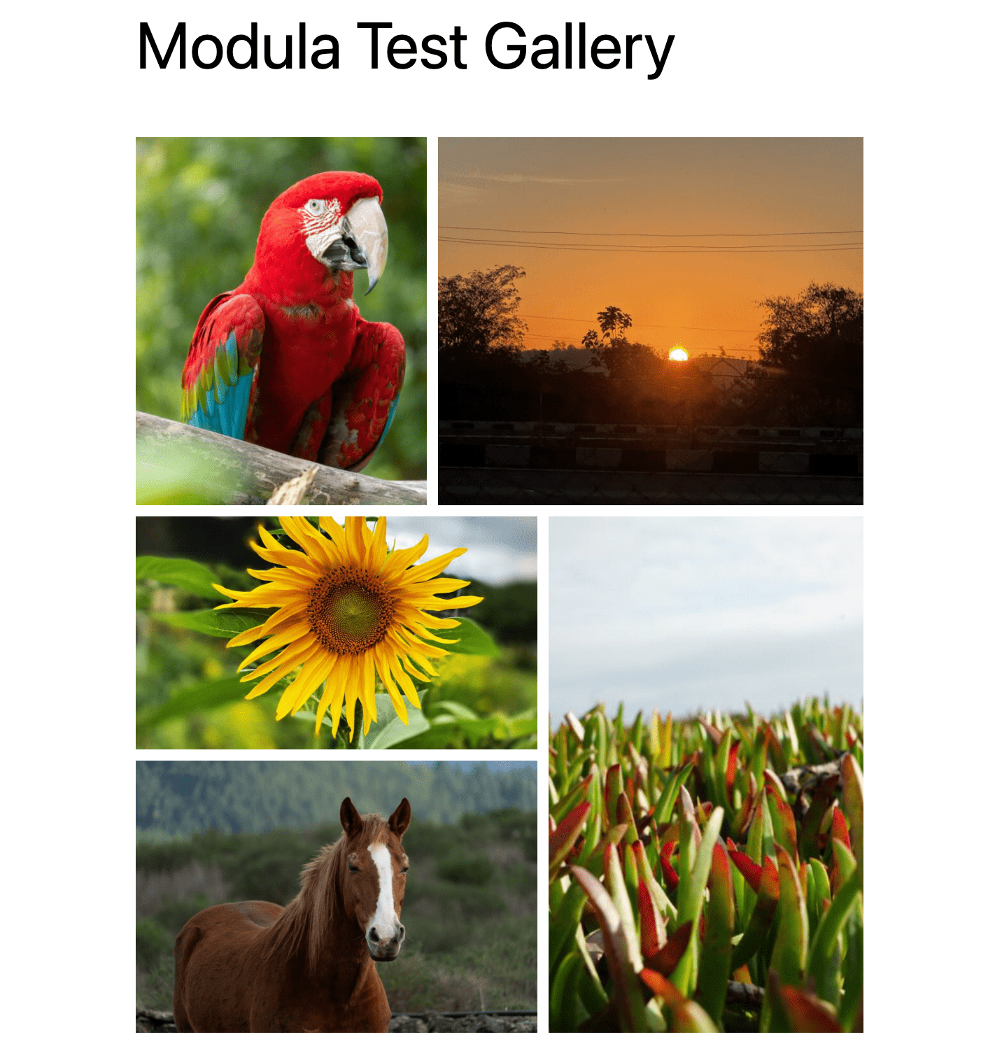 Modula test gallery