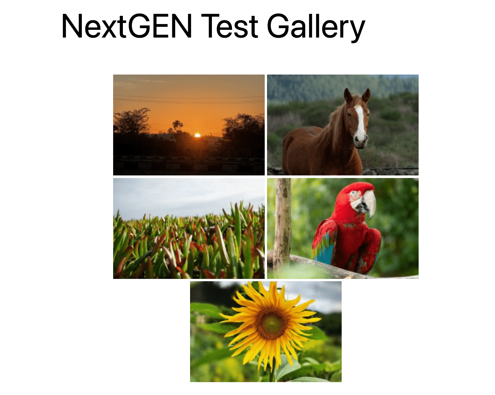 NextGEN test gallery