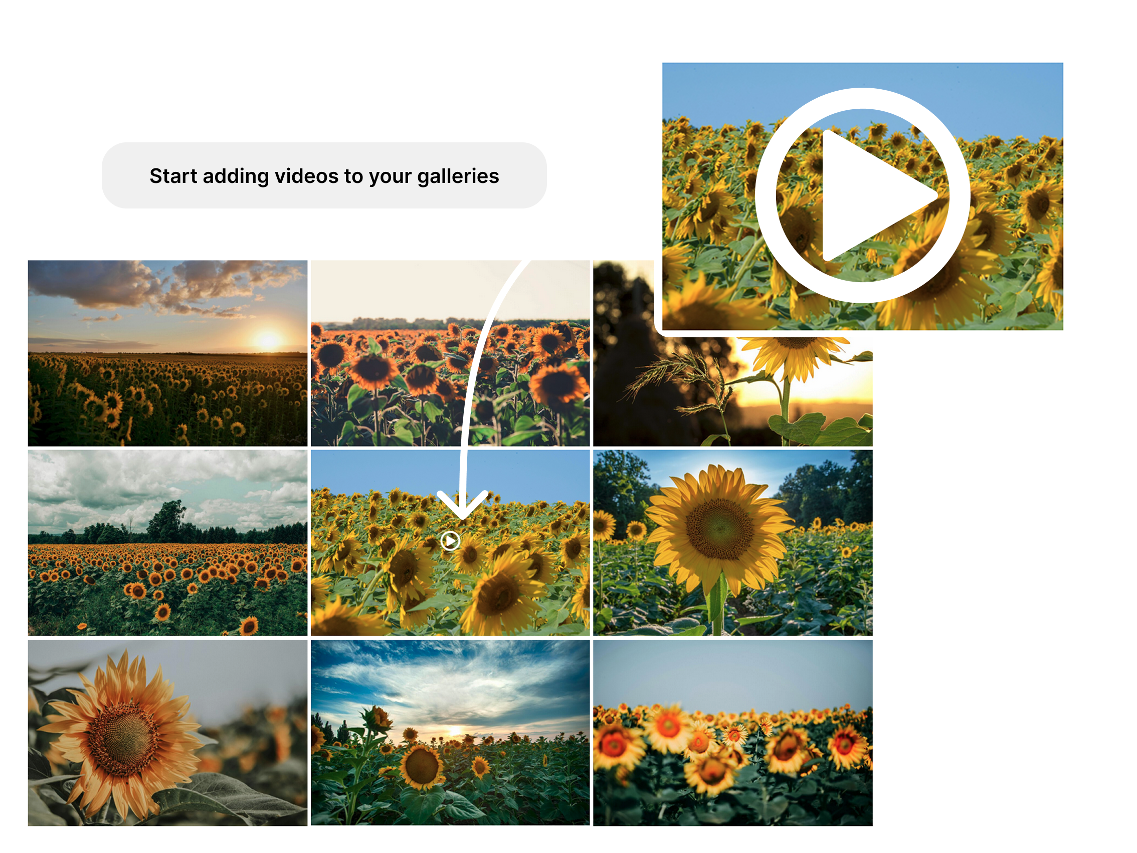 Modula Video Hero