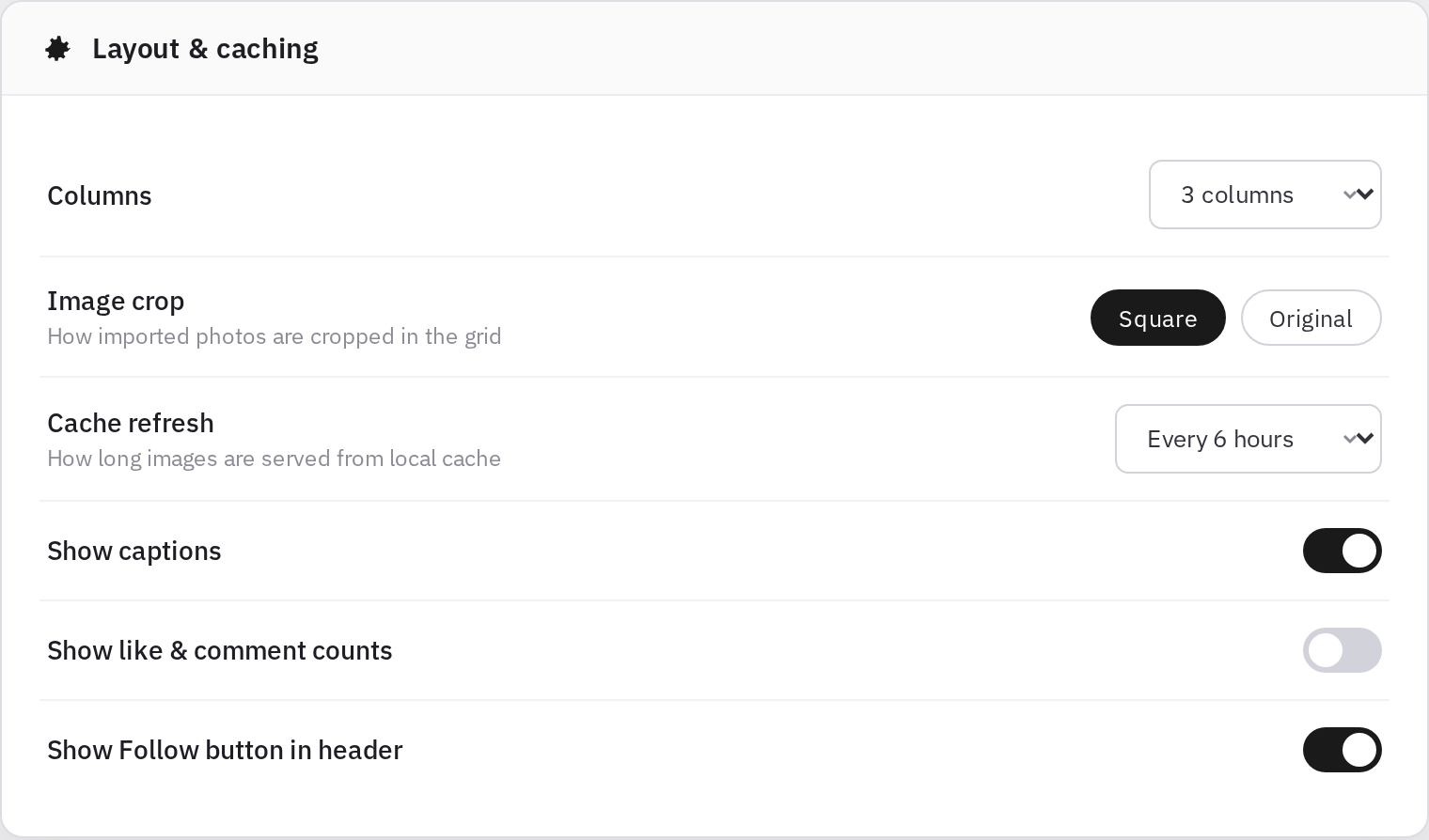 Modula layout and caching settings — columns, image crop, cache refresh, captions toggle