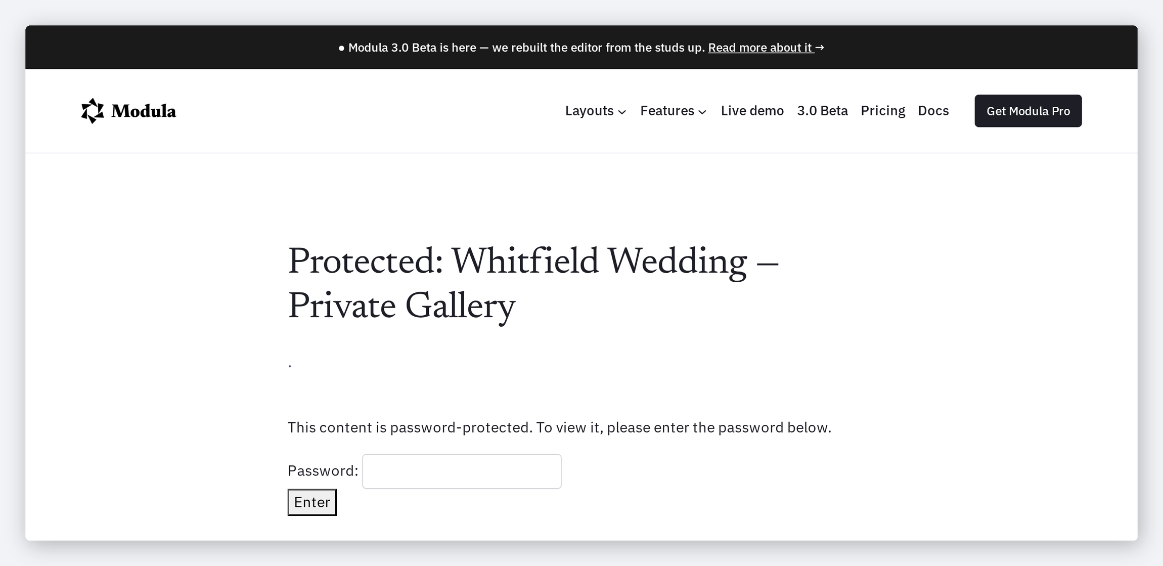 A protected gallery rendering only a password form, with no photographs on the page
