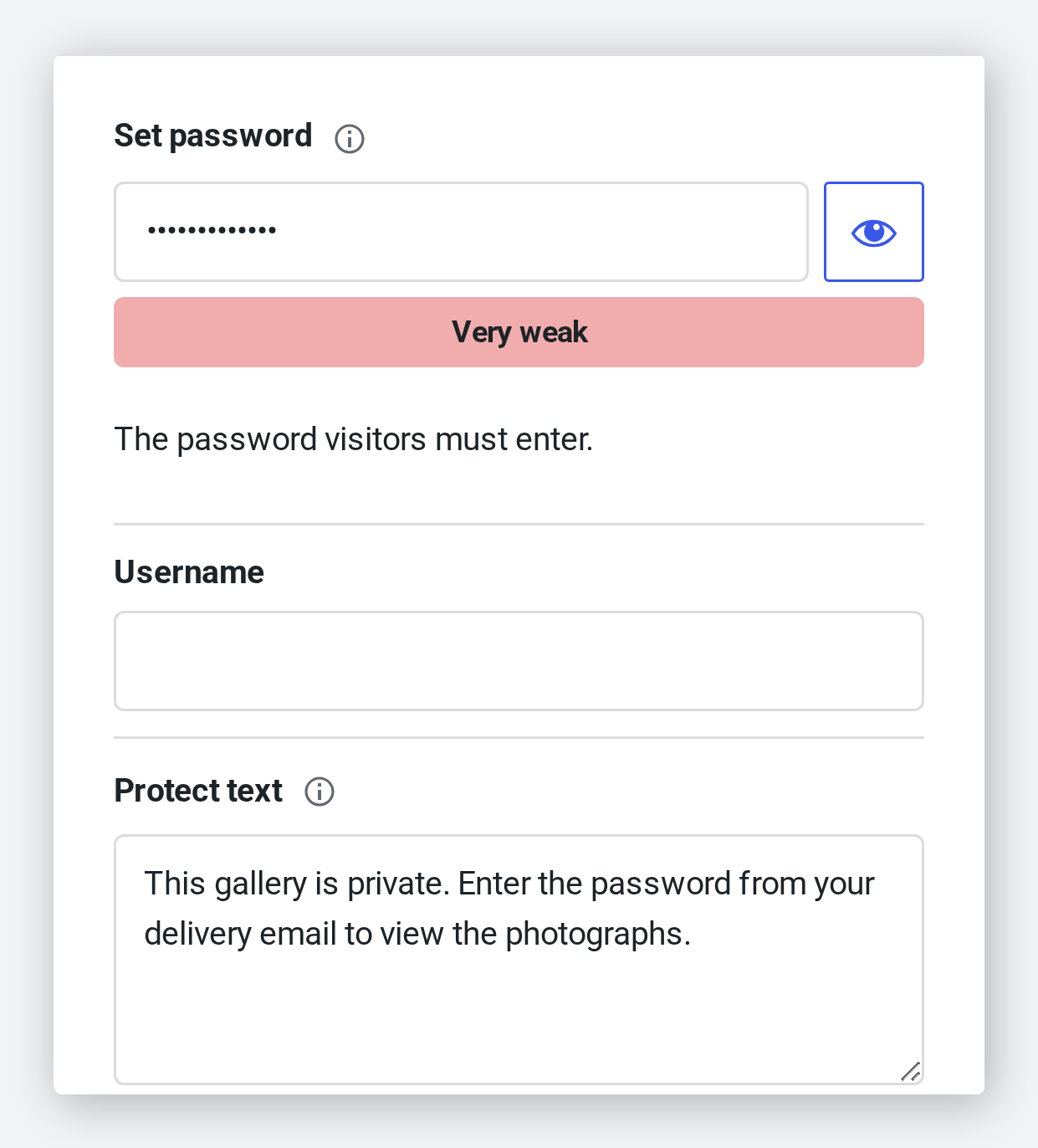 The password field, strength meter and message settings in the Protection panel