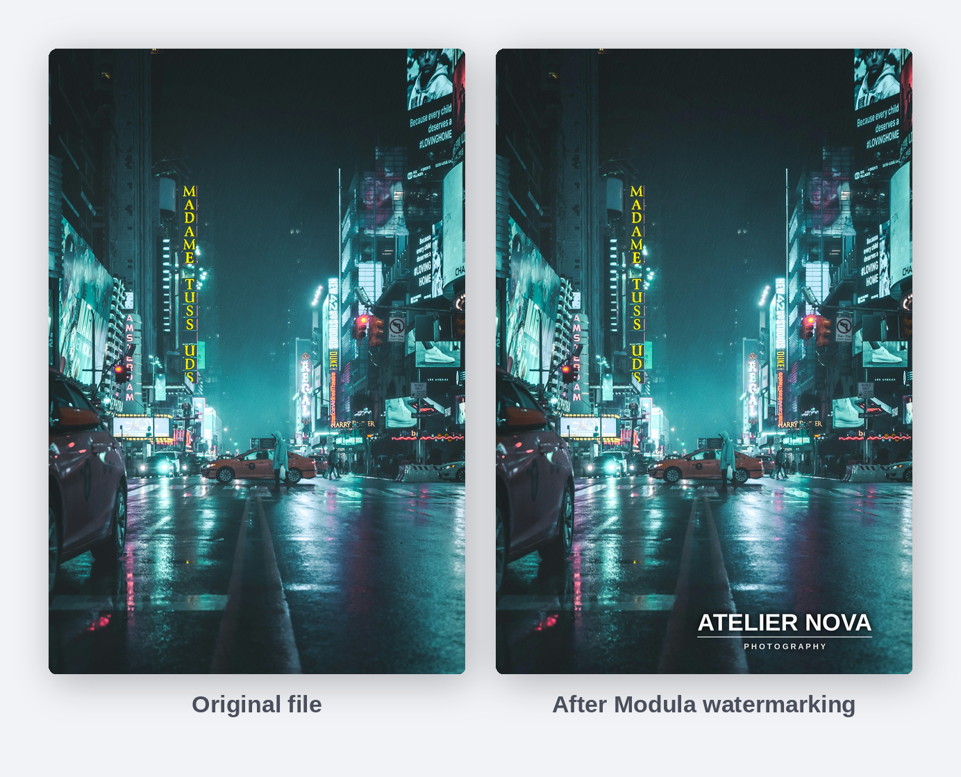 The same photograph shown as the original file and after Modula wrote the watermark into it