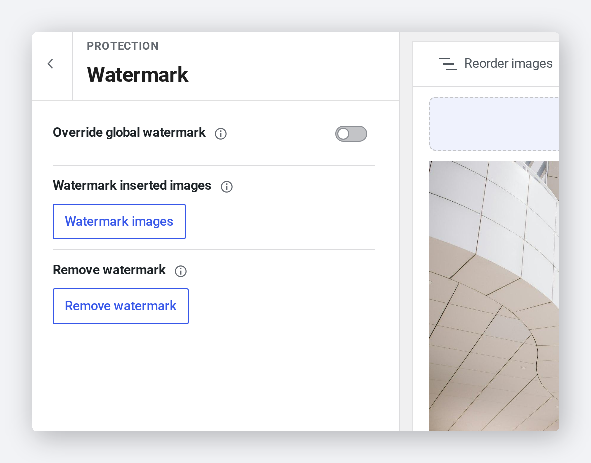 The Protection and Watermark panel of the Modula 3.0 gallery editor